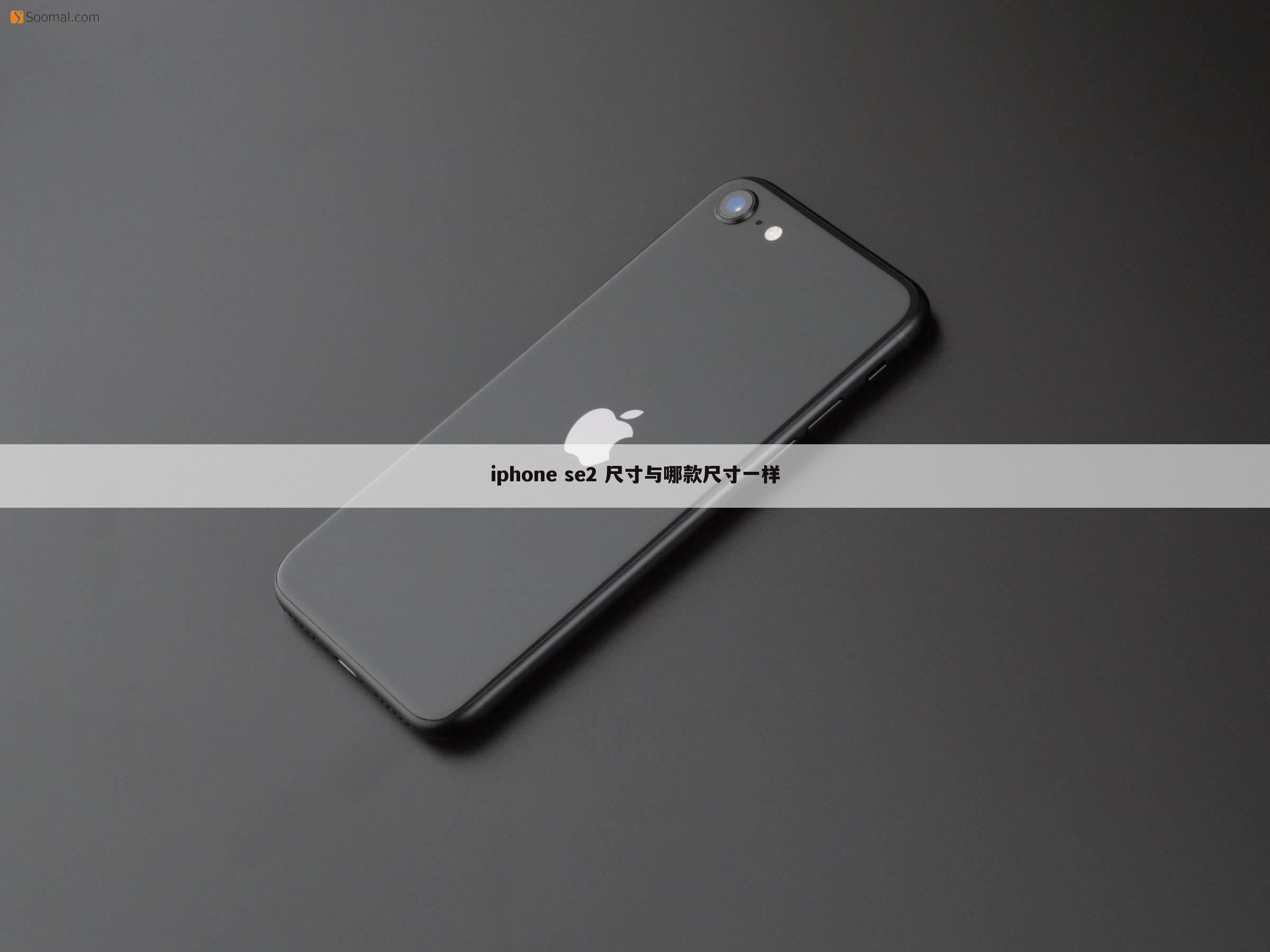 iphone se2 尺寸与哪款尺寸一样