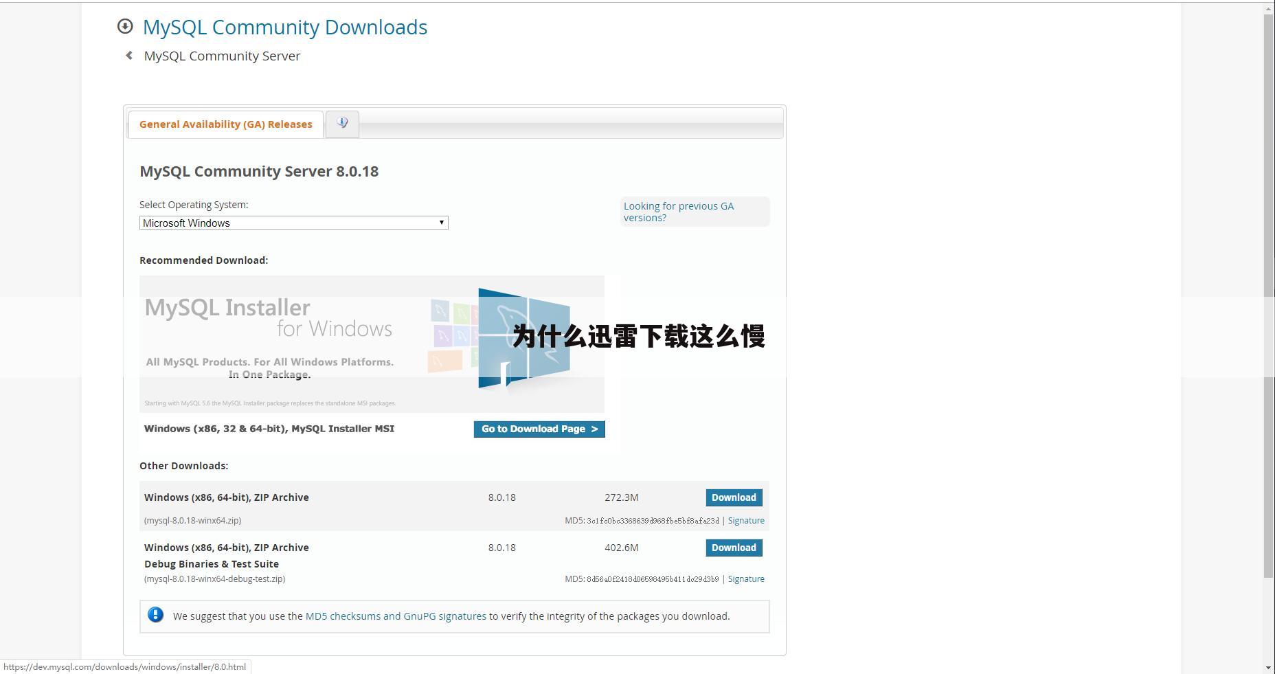 为什么迅雷下载这么慢