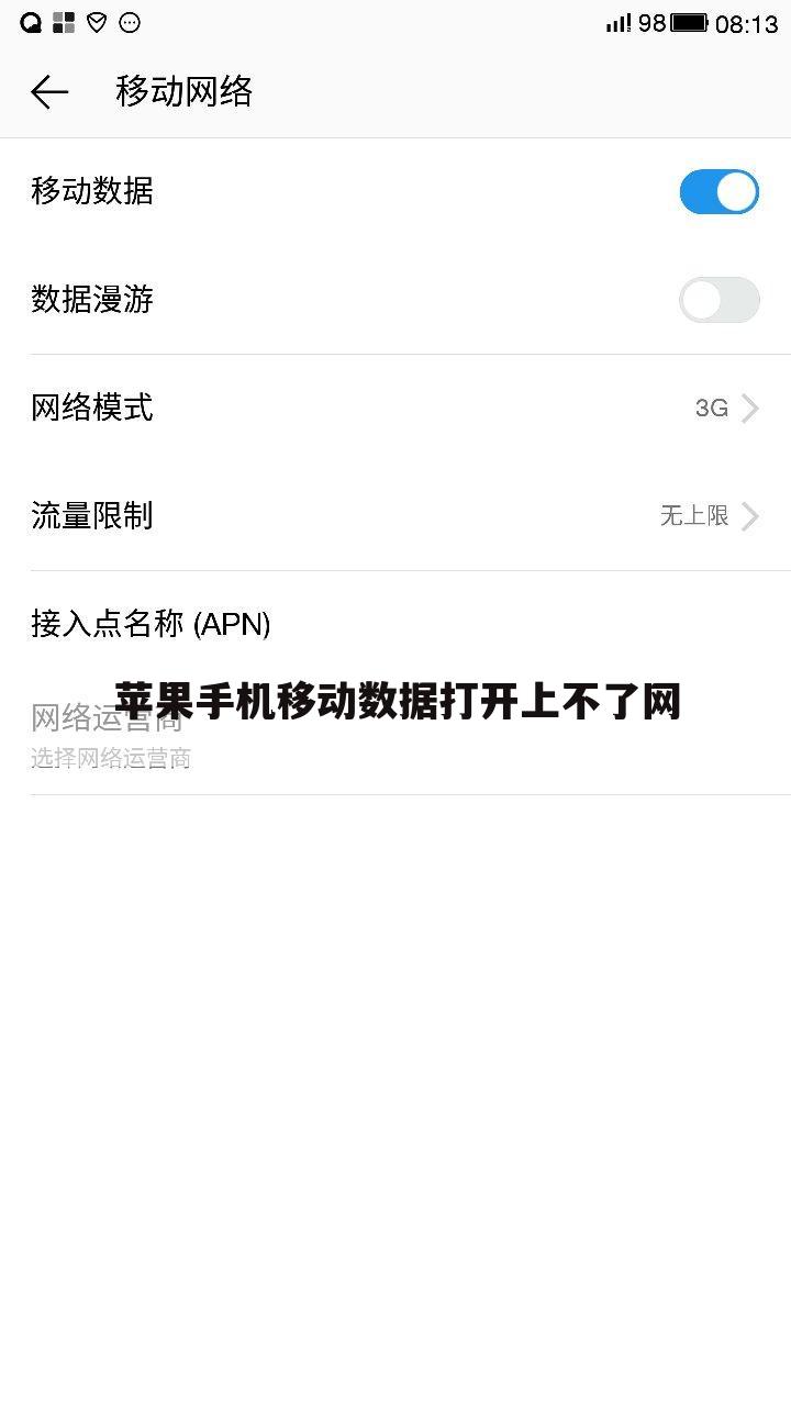苹果手机移动数据打开上不了网