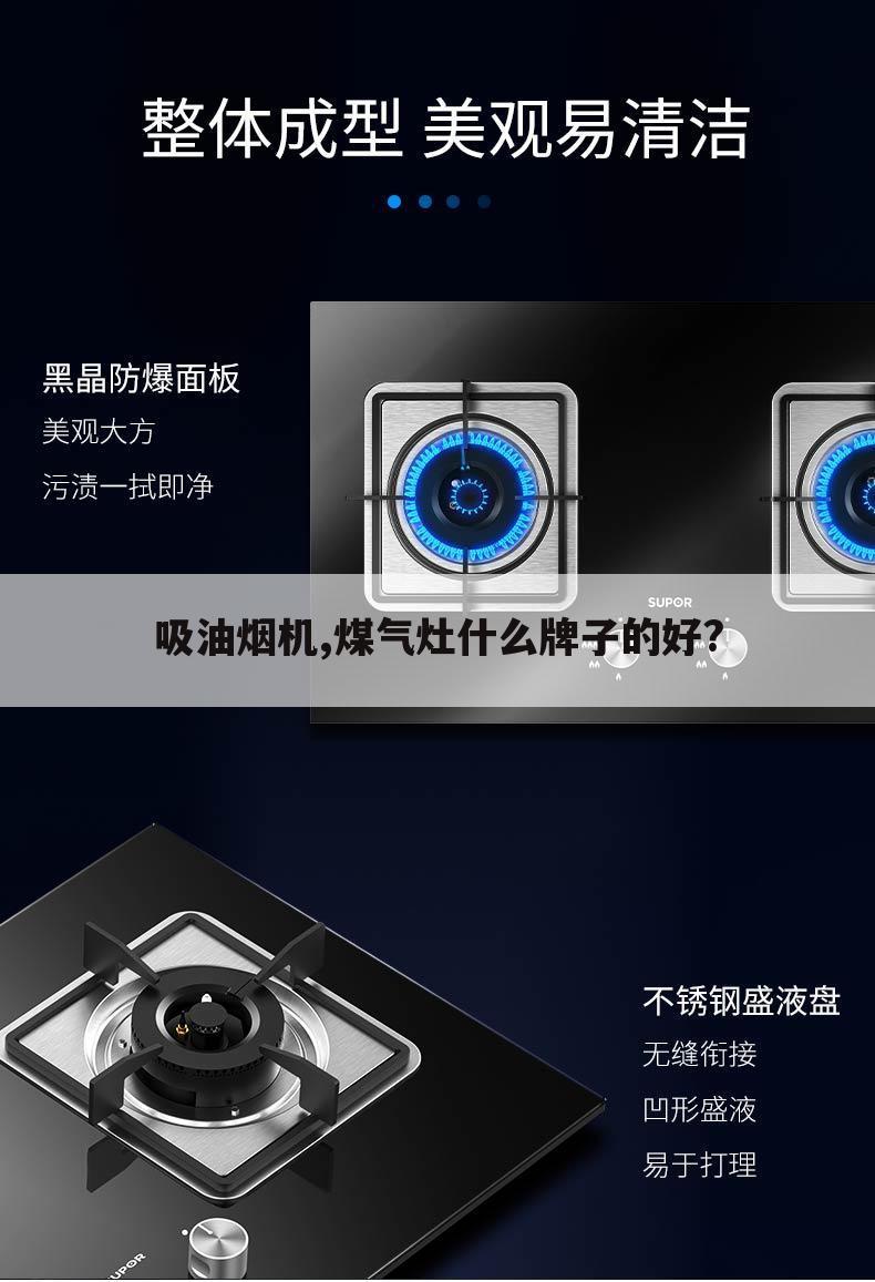 吸油烟机,煤气灶什么牌子的好?