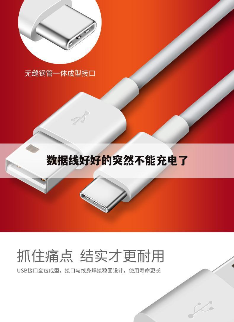 数据线好好的突然不能充电了