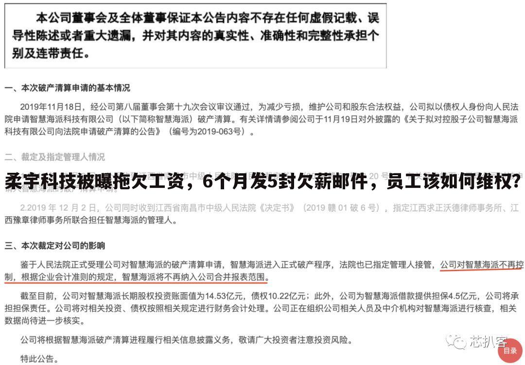 柔宇科技被曝拖欠工资,6个月发5封欠薪邮件,员工该如何维权?
