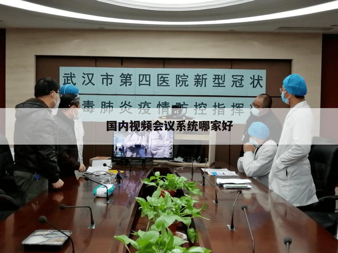 国内视频会议系统哪家好