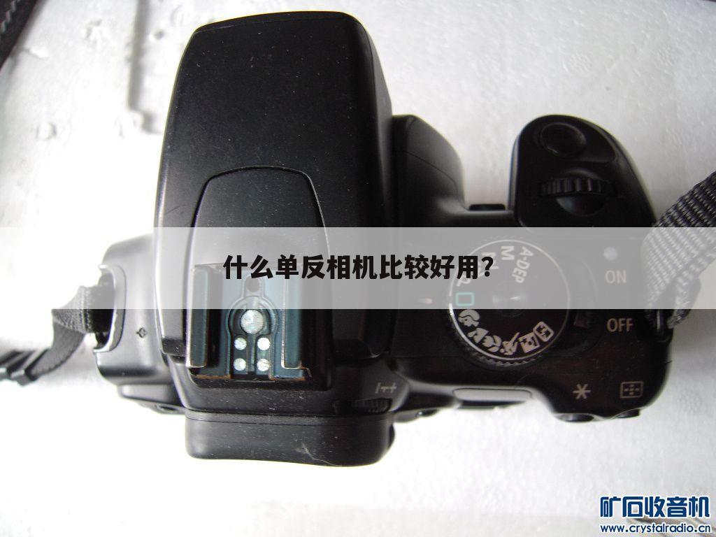 什么单反相机比较好用？