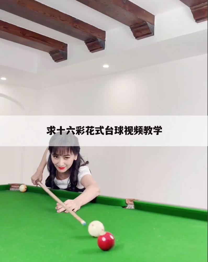 求十六彩花式台球视频教学