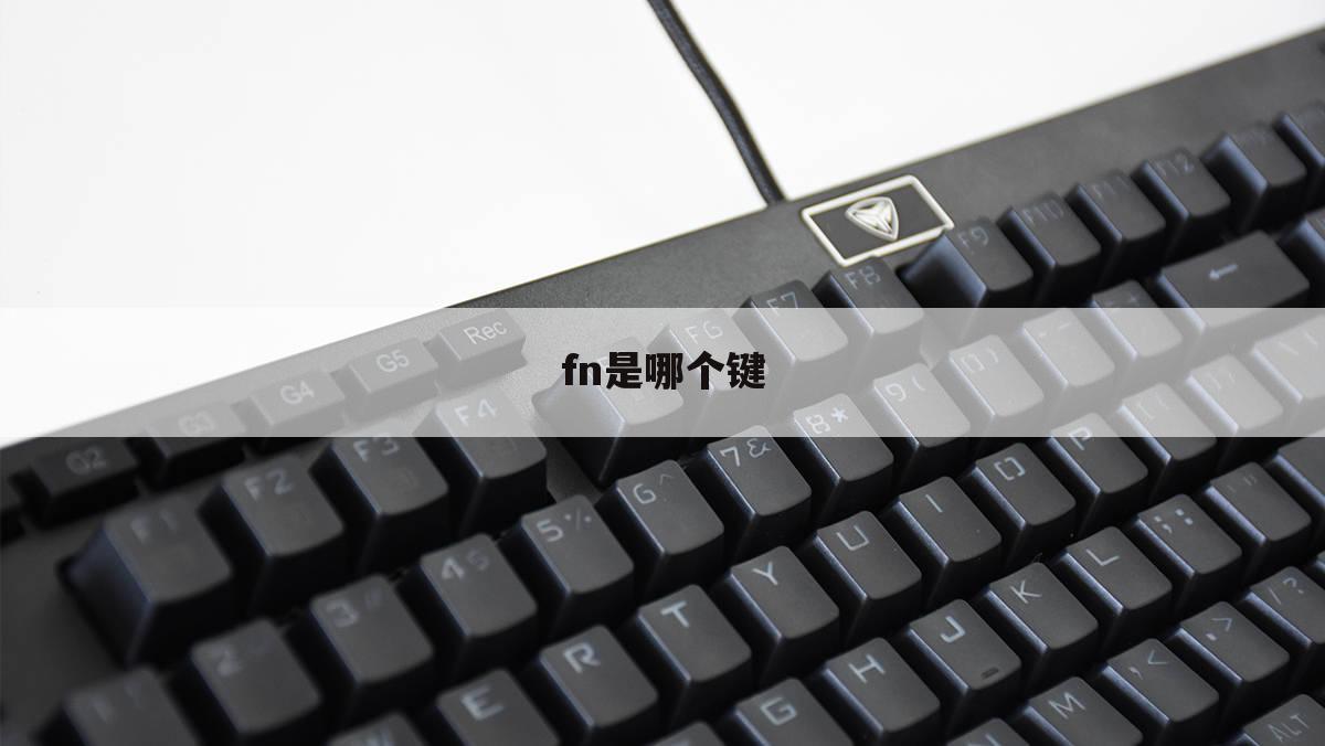 fn是哪个键