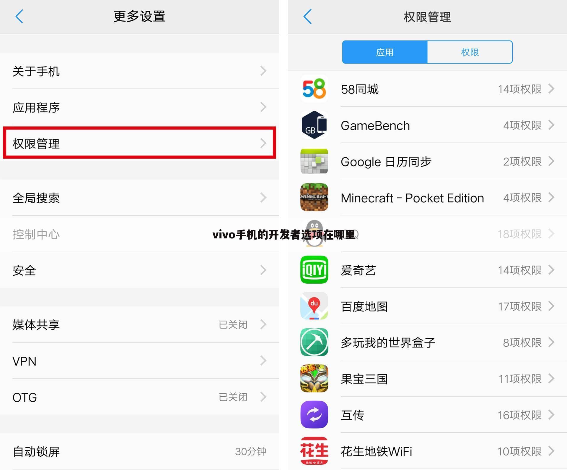 vivo手机的开发者选项在哪里
