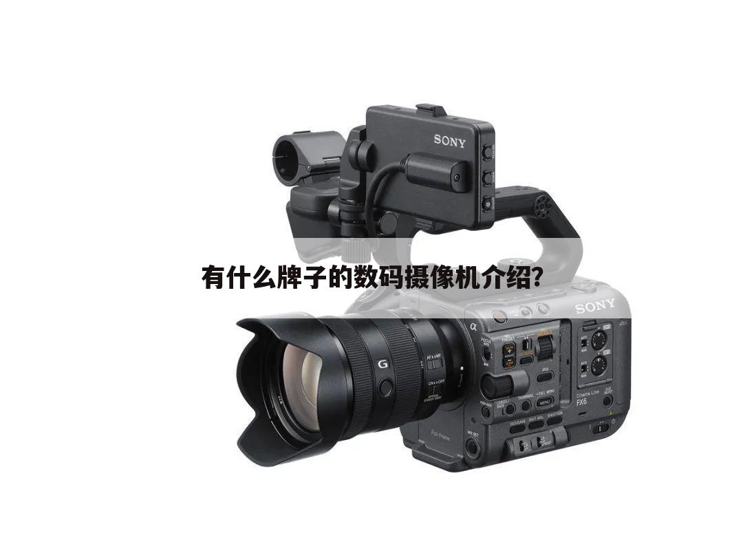 有什么牌子的数码摄像机介绍?