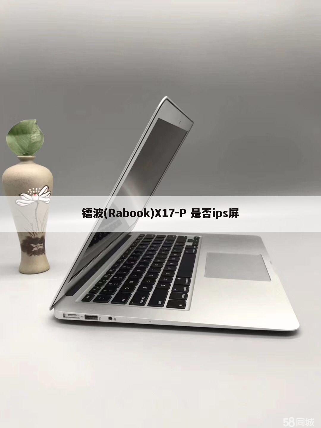 镭波(Rabook)X17-P 是否ips屏