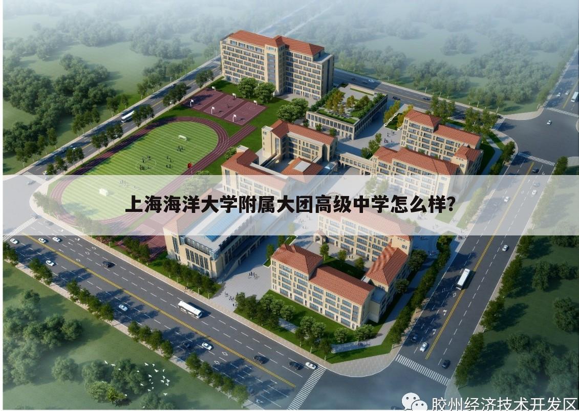 上海海洋大学附属大团高级中学怎么样?