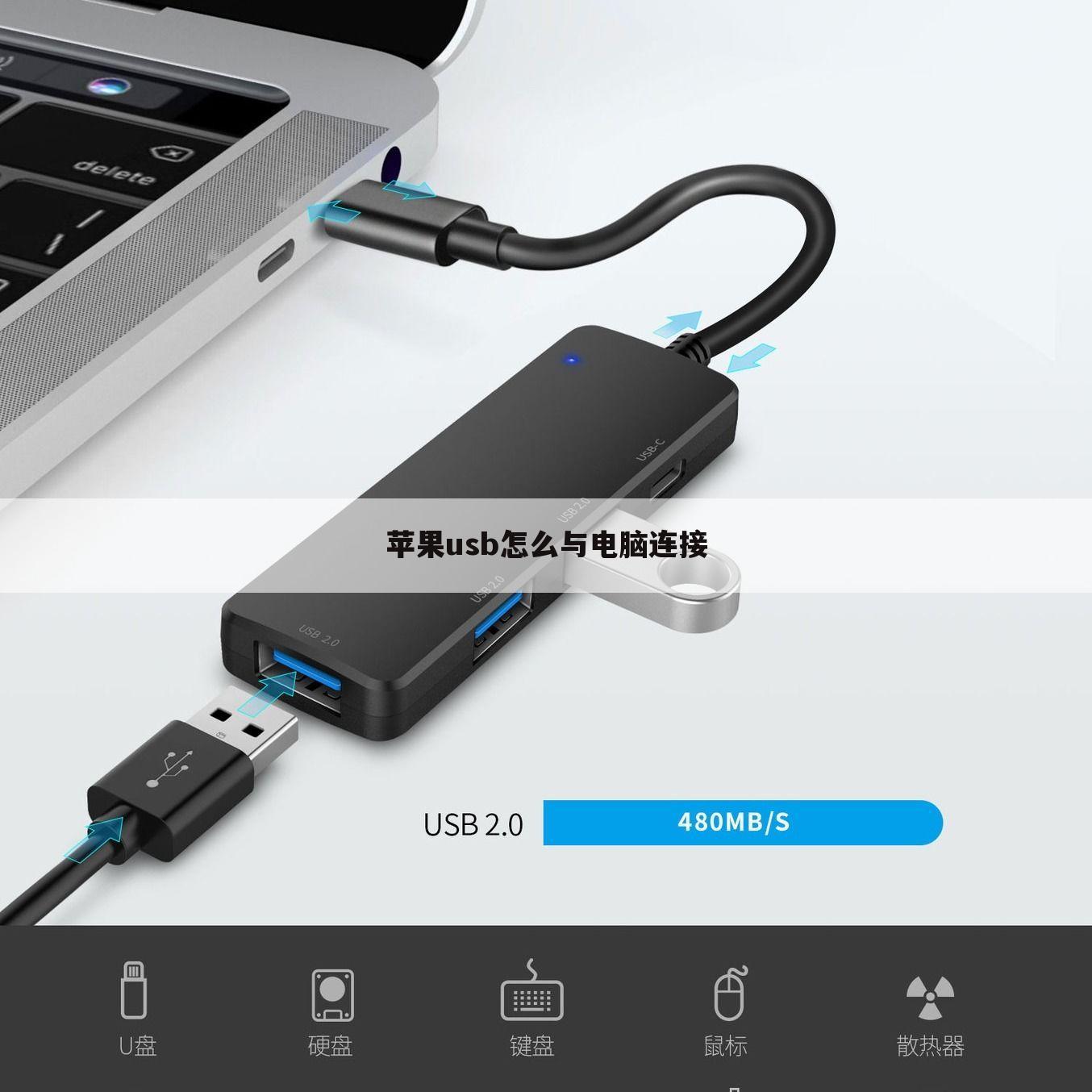 苹果usb怎么与电脑连接