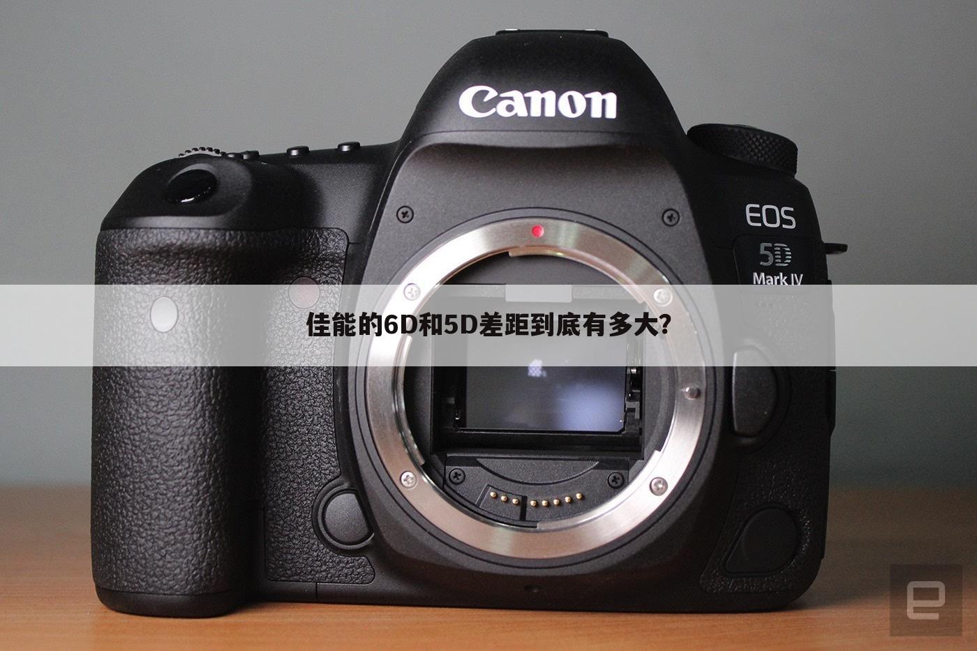 佳能的6D和5D差距到底有多大？