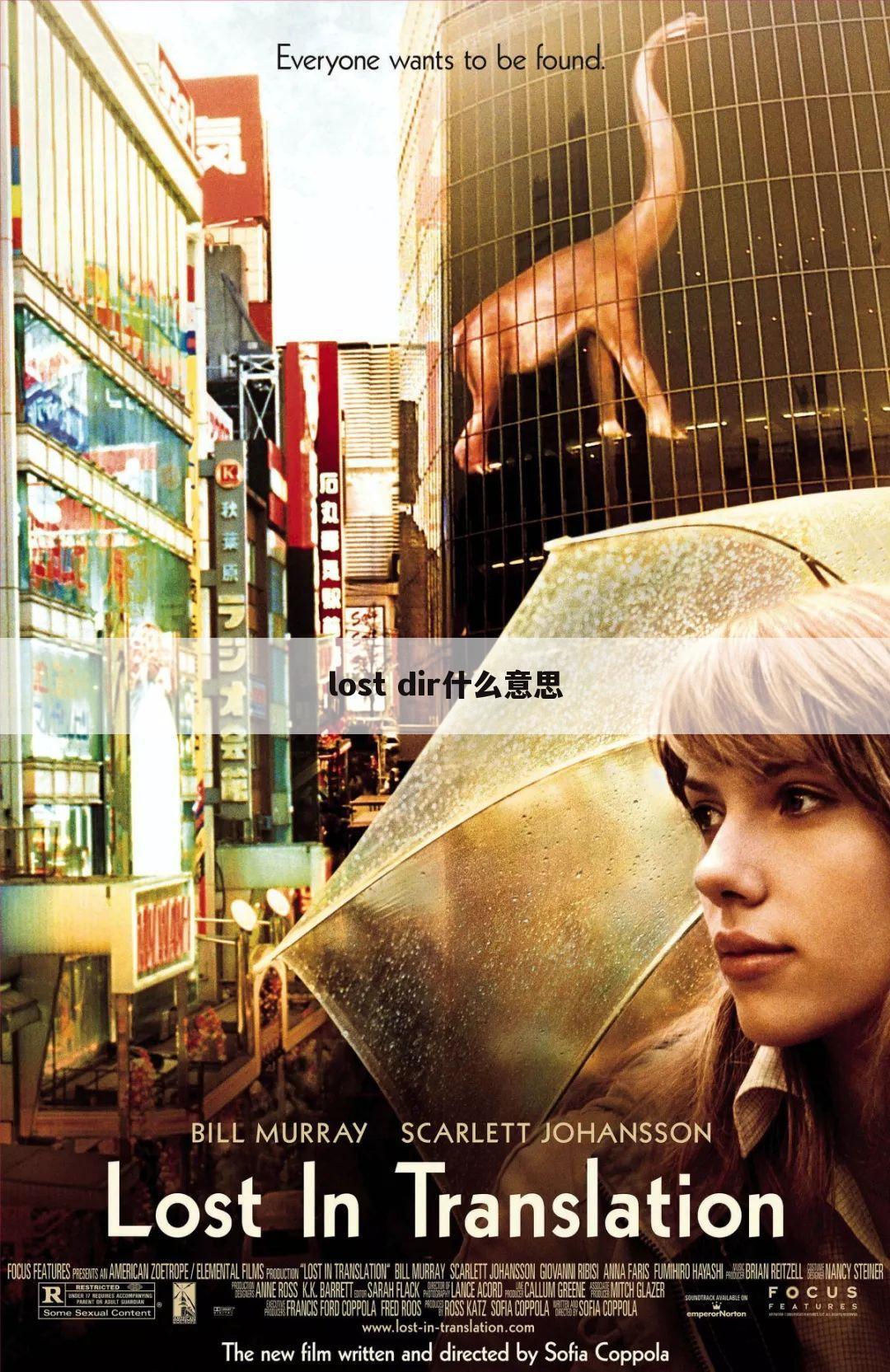 lost dir什么意思