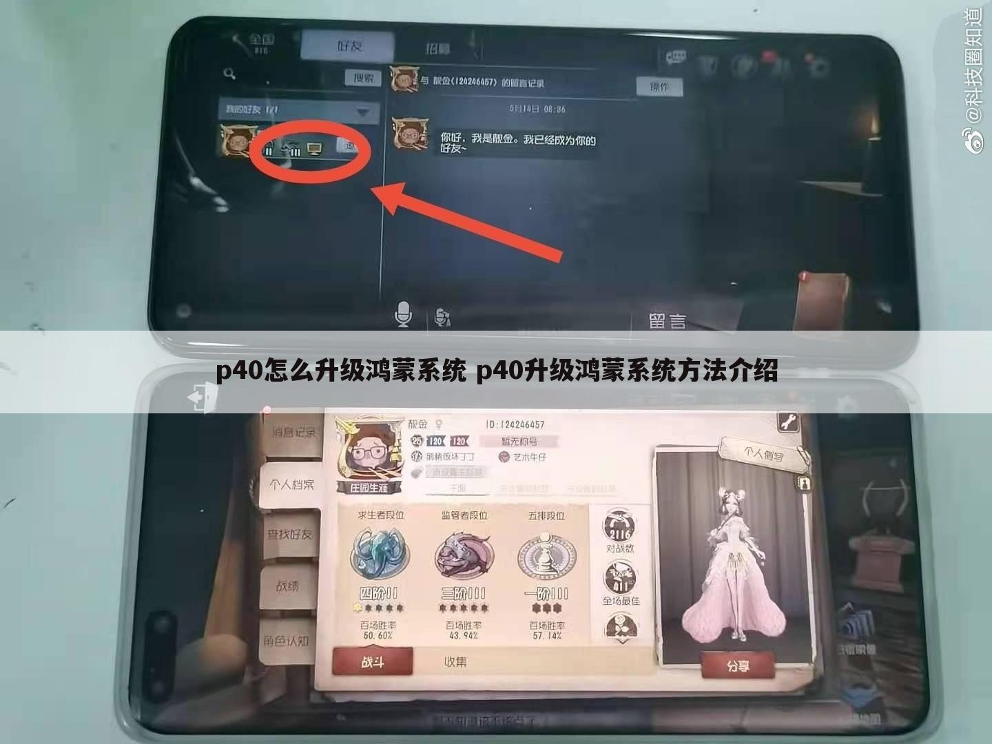 p40怎么升级鸿蒙系统 p40升级鸿蒙系统方法介绍