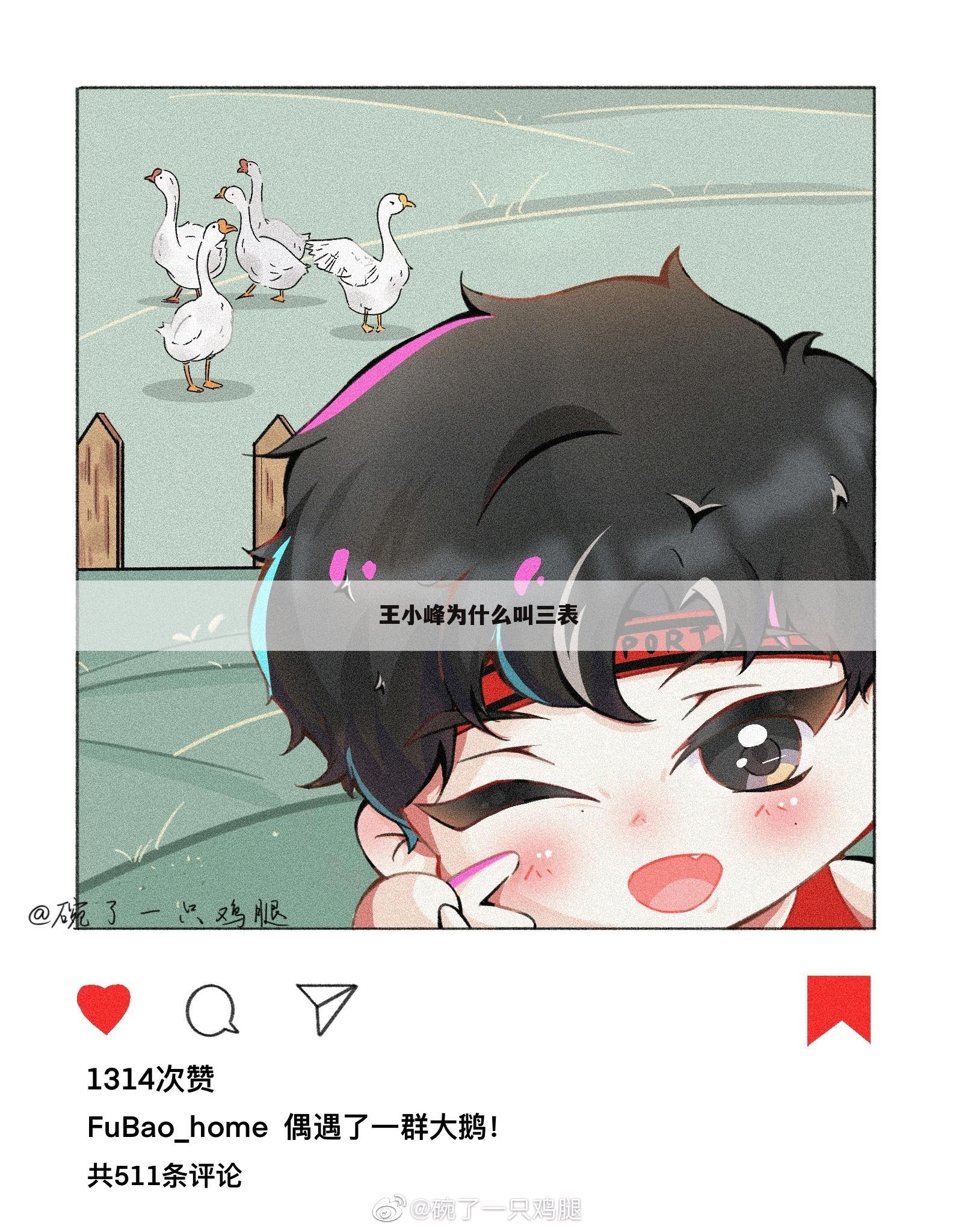 王小峰为什么叫三表