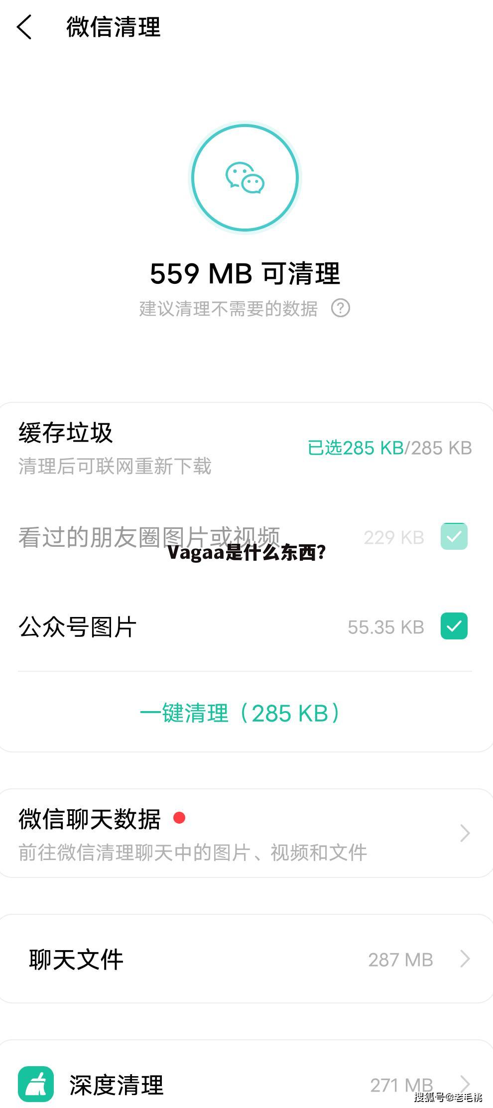 Vagaa是什么东西？
