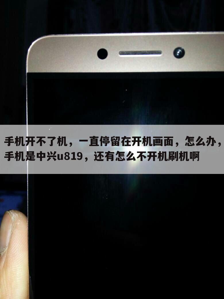 手机开不了机,一直停留在开机画面,怎么办,手机是中兴u819,还有怎么不开机刷机啊