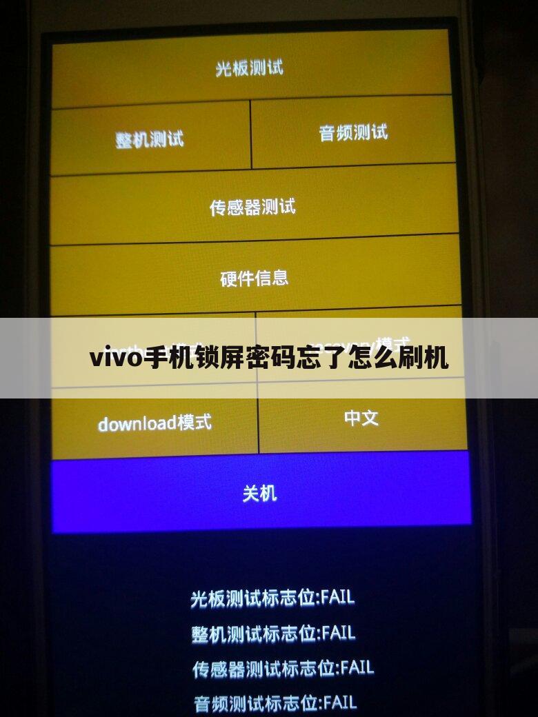 vivo手机锁屏密码忘了怎么刷机