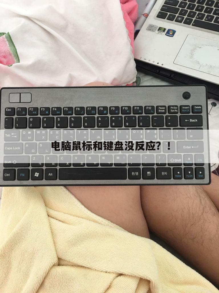 电脑鼠标和键盘没反应？！