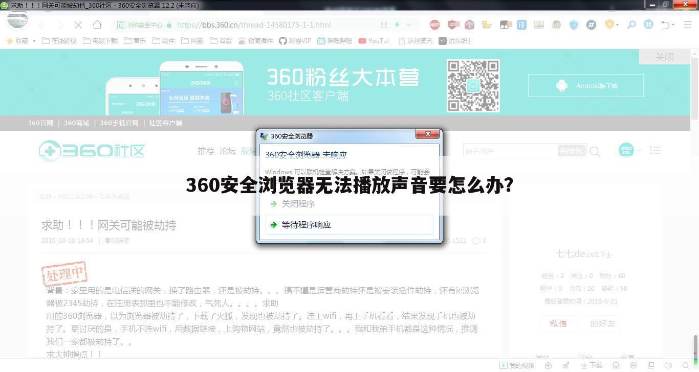 360安全浏览器无法播放声音要怎么办？