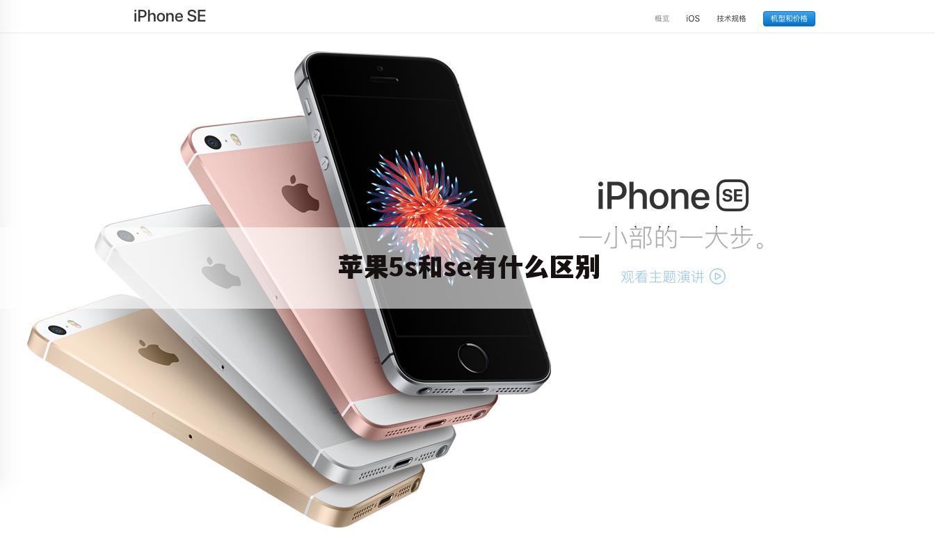 苹果5s和se有什么区别