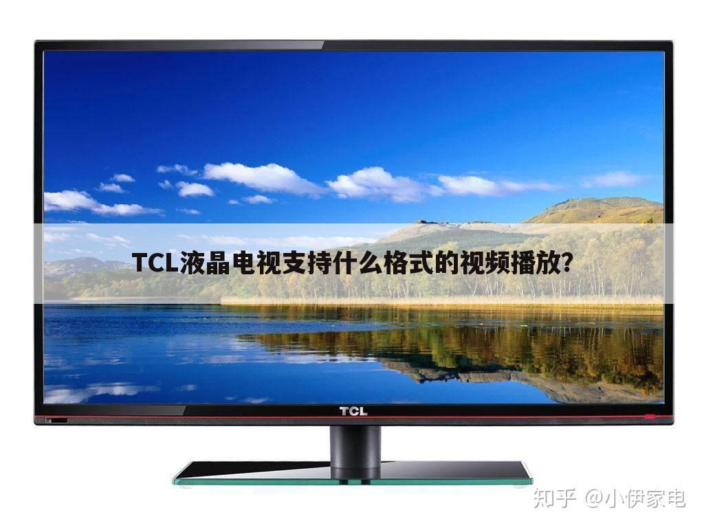 TCL液晶电视支持什么格式的视频播放?