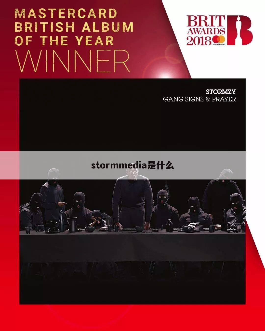 stormmedia是什么