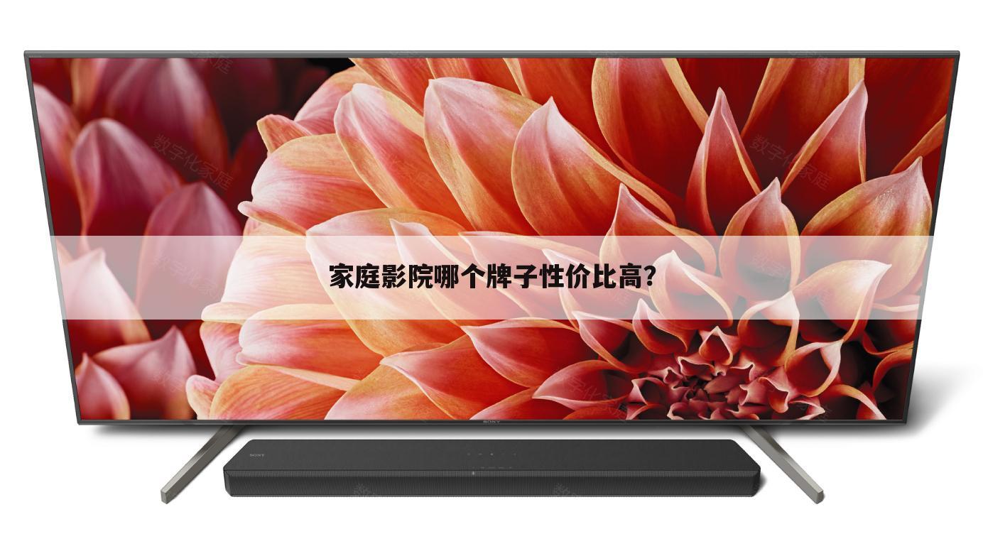 家庭影院哪个牌子性价比高?