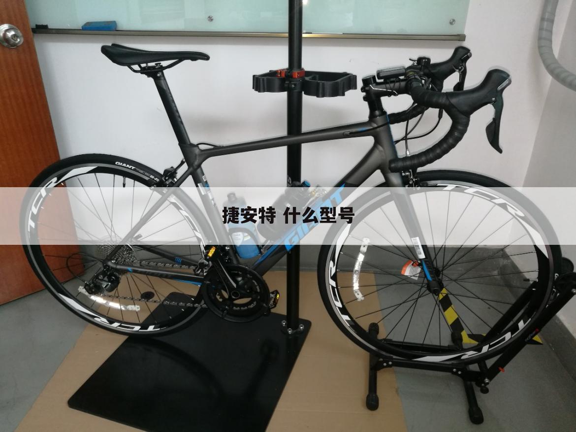 捷安特 什么型号