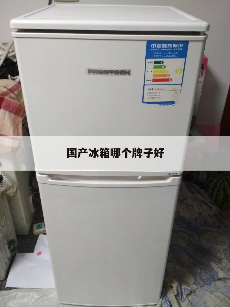 国产冰箱哪个牌子好