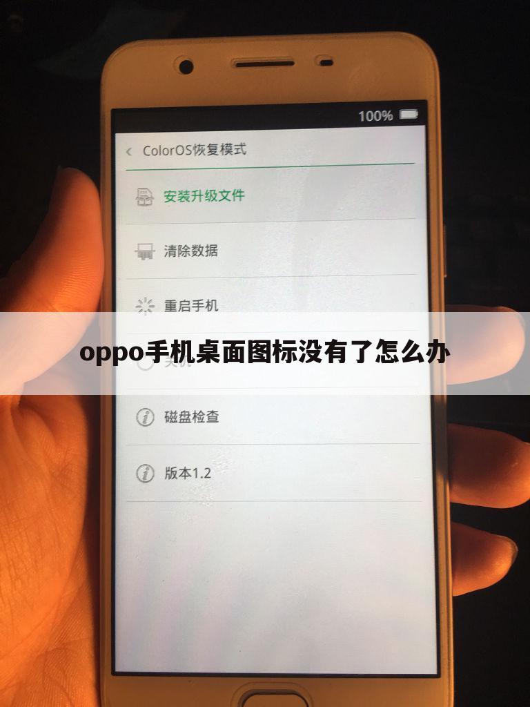 oppo手机桌面图标没有了怎么办