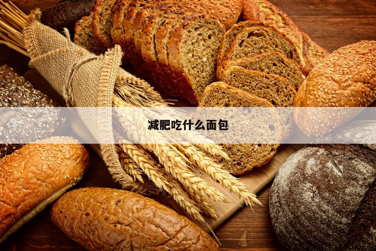 减肥吃什么面包