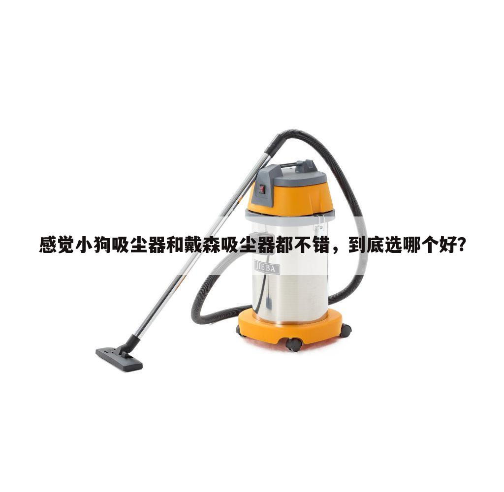 感觉小狗吸尘器和戴森吸尘器都不错,到底选哪个好?