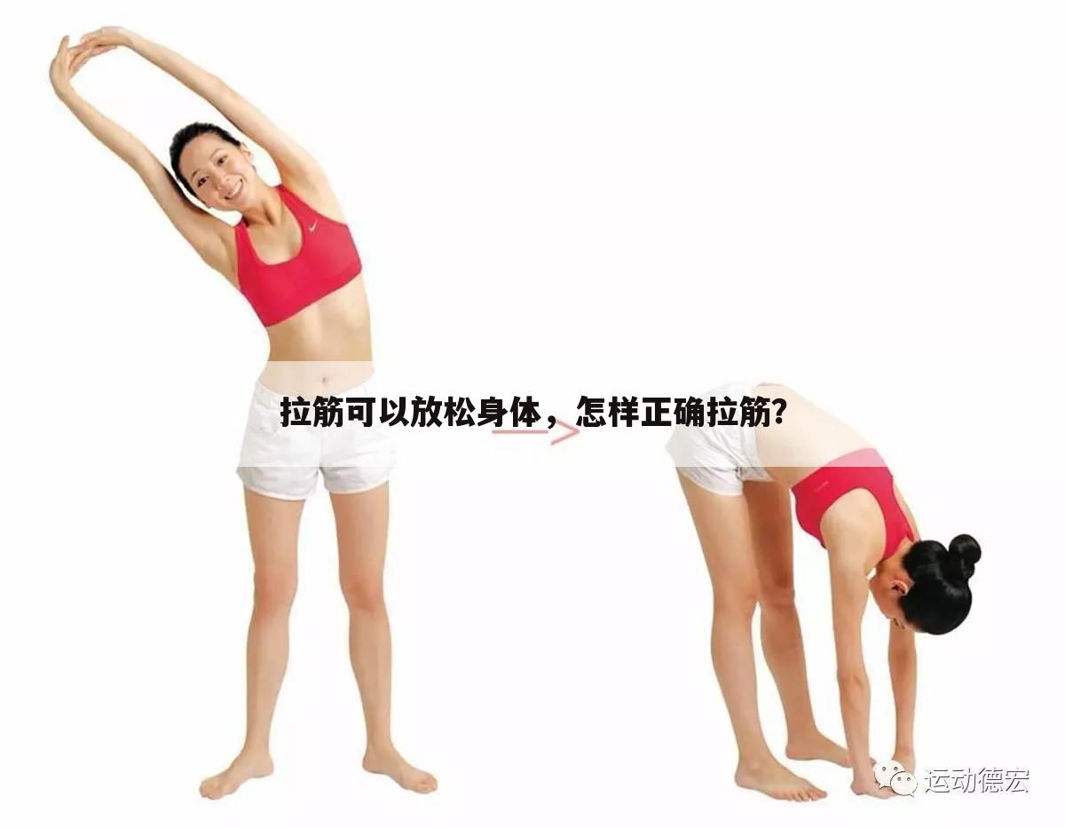 拉筋可以放松身体,怎样正确拉筋?