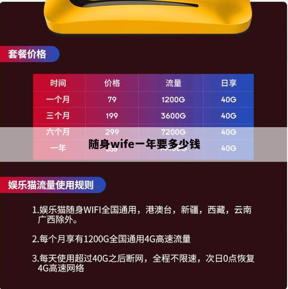 随身wife一年要多少钱