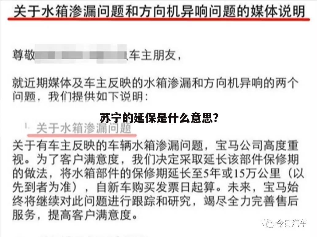 苏宁的延保是什么意思？