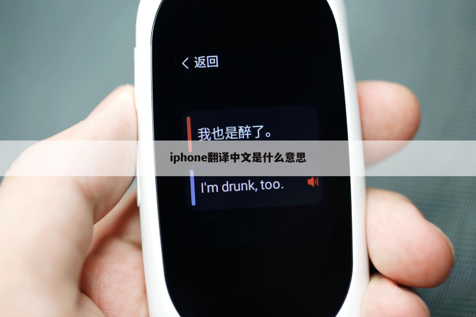 iphone翻译中文是什么意思
