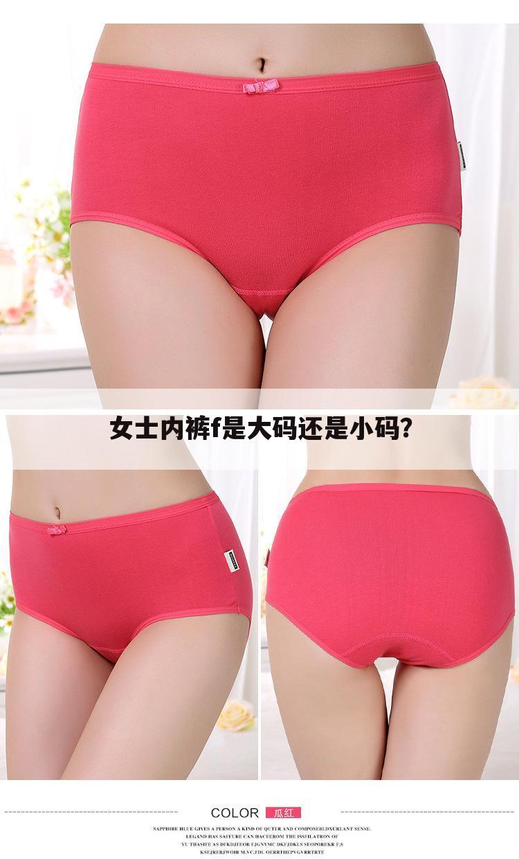 女士内裤f是大码还是小码？