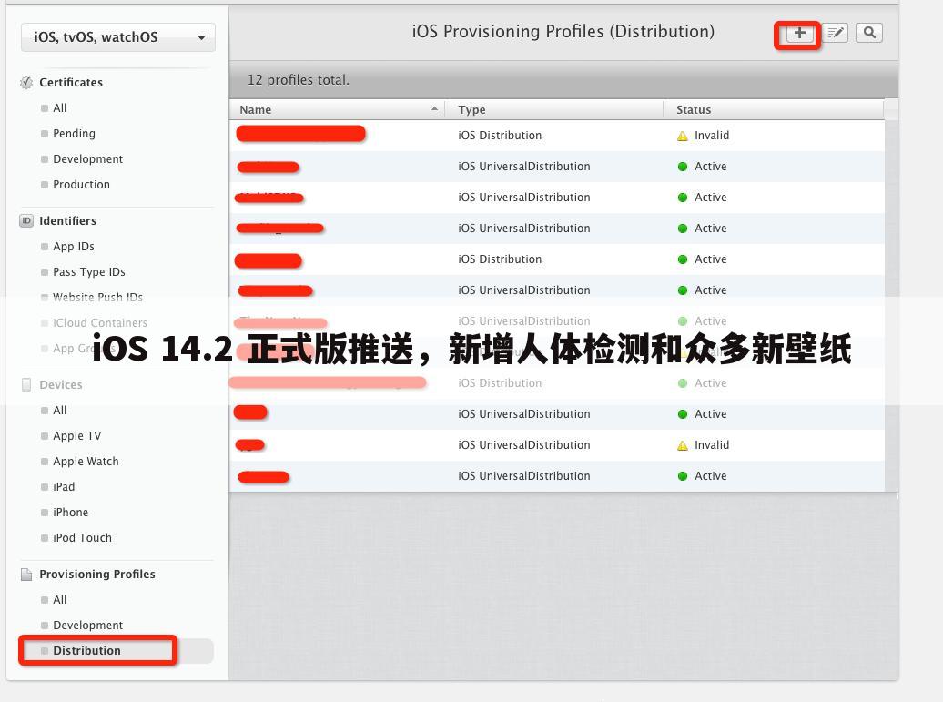 iOS 14.2 正式版推送,新增人体检测和众多新壁纸