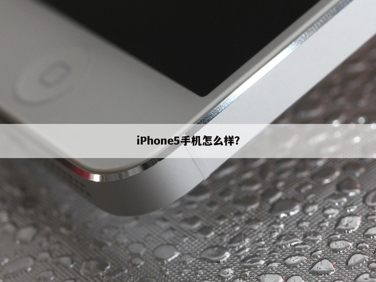 iPhone5手机怎么样？
