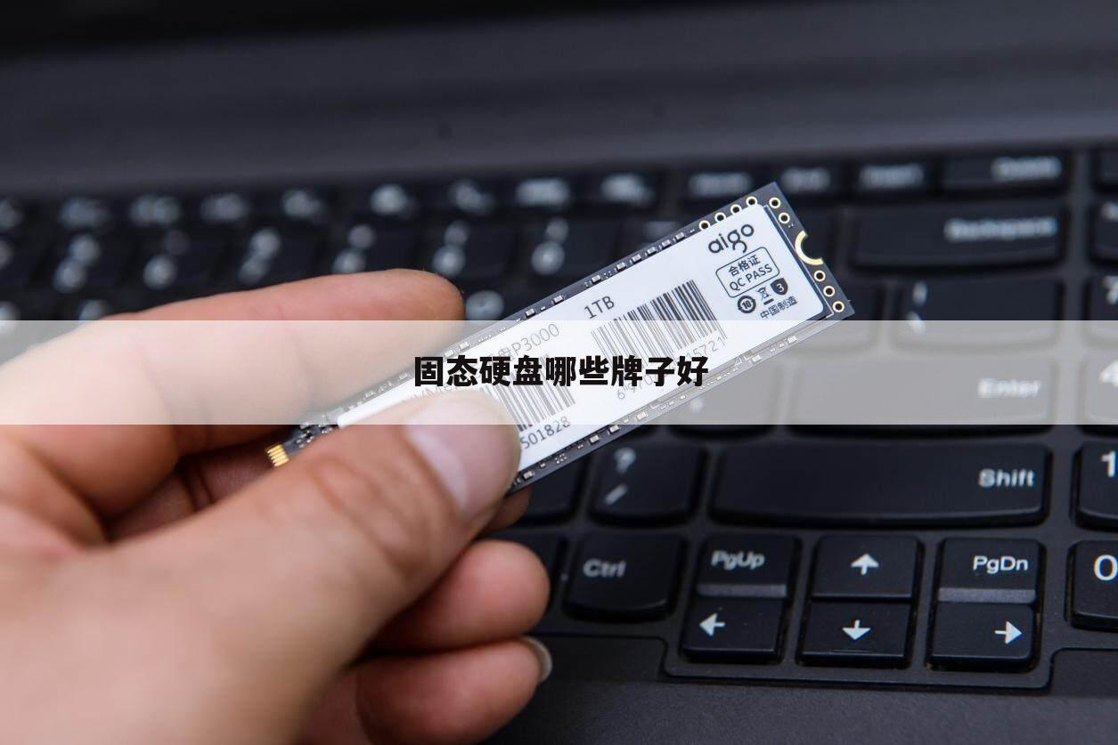 固态硬盘哪些牌子好