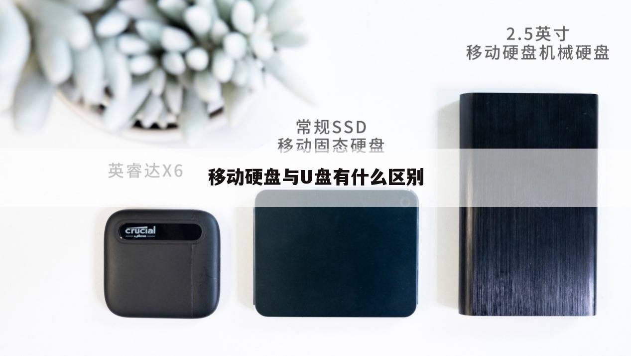移动硬盘与U盘有什么区别