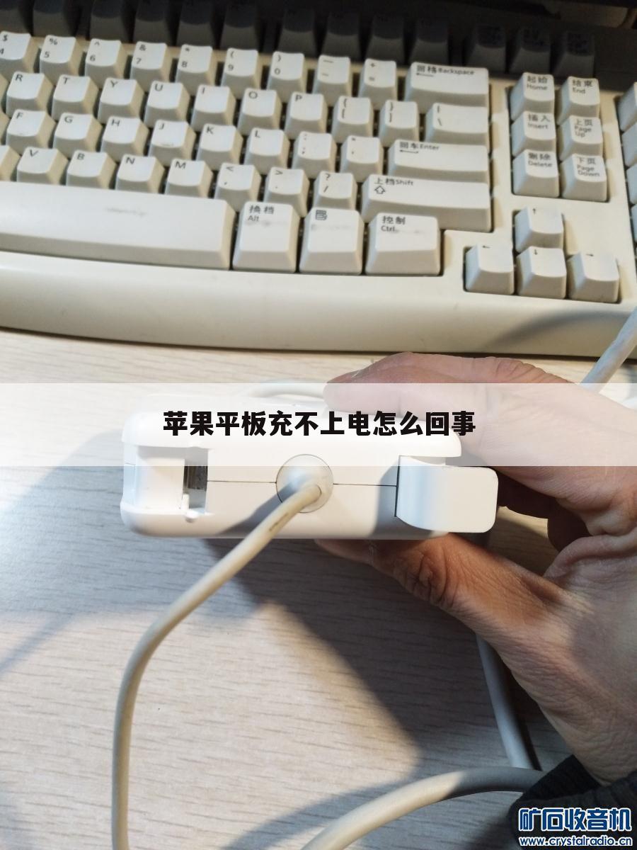 苹果平板充不上电怎么回事