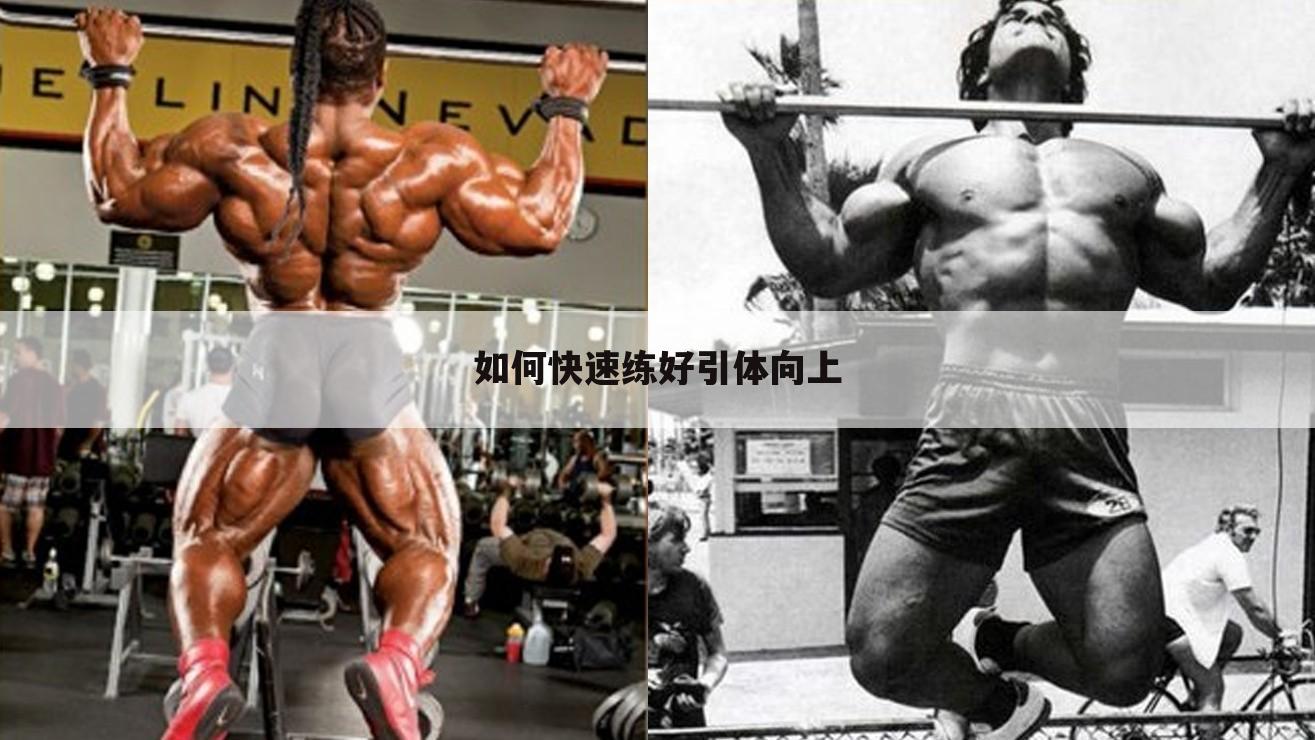如何快速练好引体向上