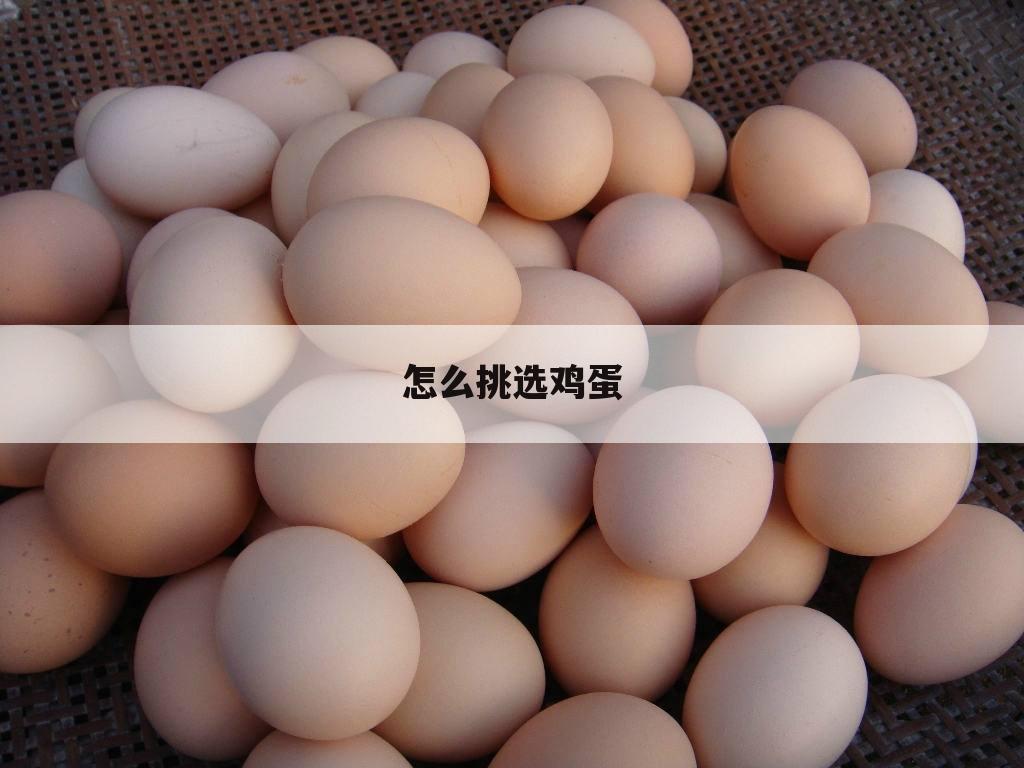 怎么挑选鸡蛋