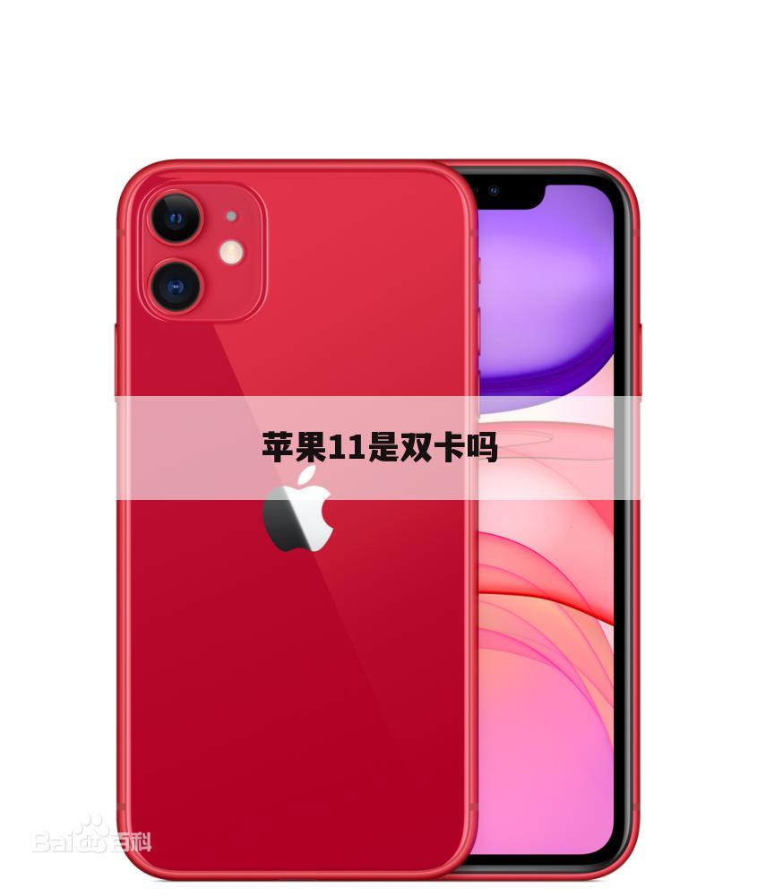 苹果11是双卡吗