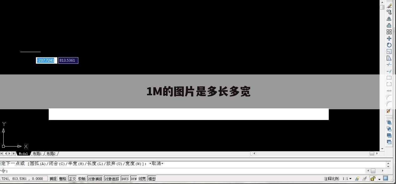 1M的图片是多长多宽