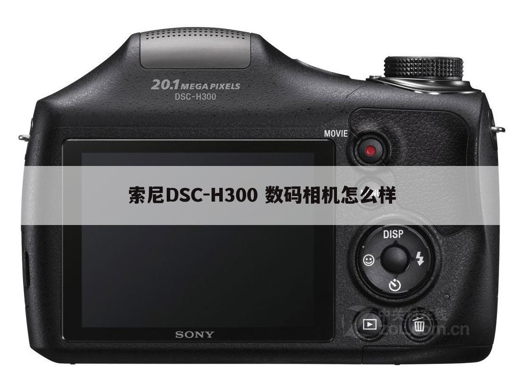 索尼DSC-H300 数码相机怎么样