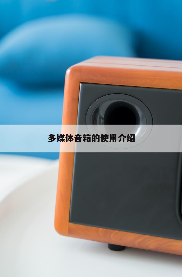 多媒体音箱的使用介绍