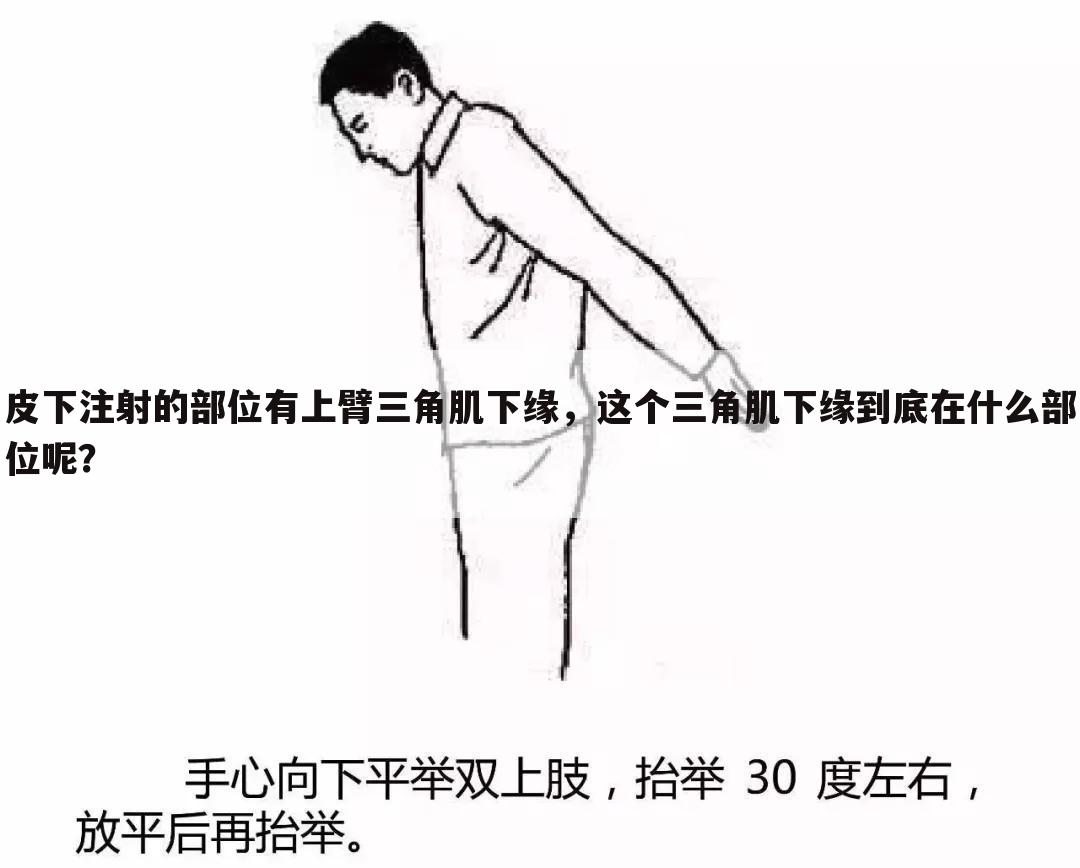 皮下注射的部位有上臂三角肌下缘,这个三角肌下缘到底在什么部位呢?